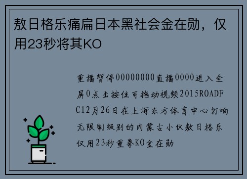 敖日格乐痛扁日本黑社会金在勋，仅用23秒将其KO