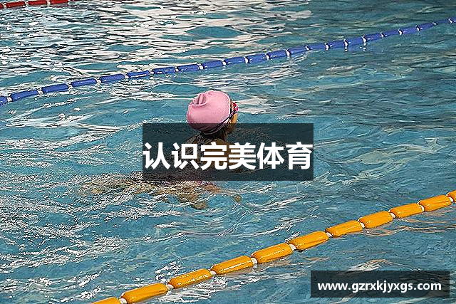 认识完美体育